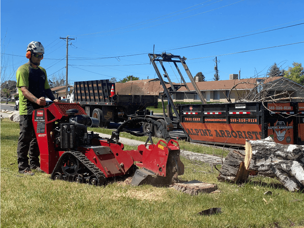 Clean stump grinding on a Wasatch Front residential property